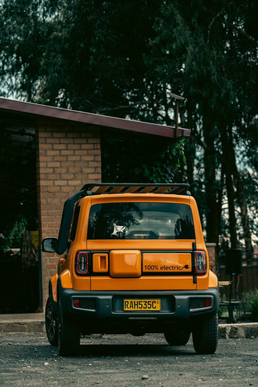 Ora Good Cat and GWM's Electric Push
